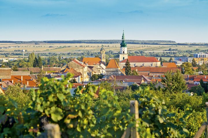 🍷 TIP NA VÍKEND: DEŇ MODRANSKÝCH PIVNÍC
Obklopená vinicami a malokarpatskými lesmi, Modra je skvelé miesto, kde si môžete vychut…